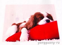 Салфетка №24