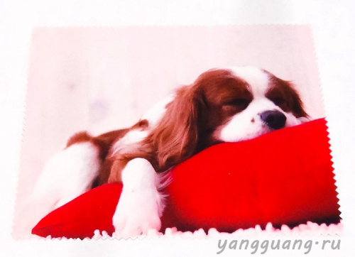 Салфетка №24 - «ЕКБ ОПТИКА» Салфетка №24