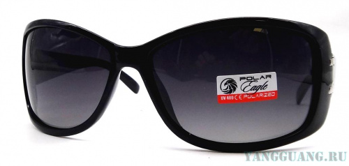 Polar Eagle 09573 C1