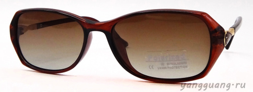 Polarized 6073 C2 - «ЕКБ ОПТИКА» Polarized 6073 C2