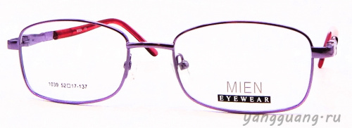 MIEN 1039 C36 52-17-137