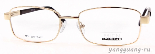 MIEN 1037 C2 53-17-137