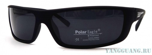 Polar Eagle 8251 C3
