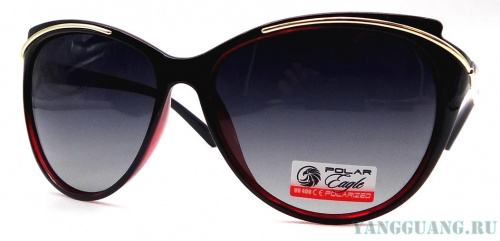 Polar Eagle 09240 C4