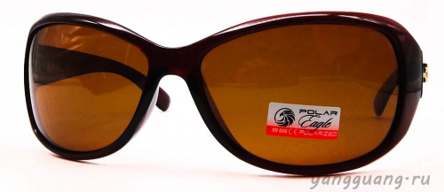 Polar Eagle 09547 C2