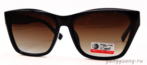 Polar Eagle 09497 C2