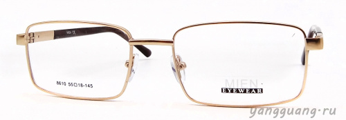 MIEN 8610 C79 55-18-145