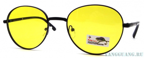 Polar Eagle 06121 C7