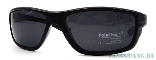Polar Eagle 8209 C1