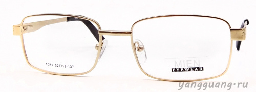 MIEN 1081 C79 52-18-137