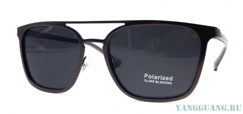 Polarized 2613 C3