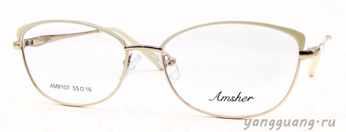 AMSHAR 9107 C10 55-16-140