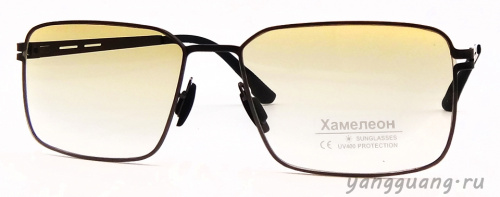 Хамелон 806 C2