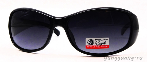 Polar Eagle 09551 C3