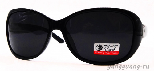 Polar Eagle 09555 C1