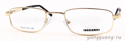 MIEN 7189 C2 51-21-140