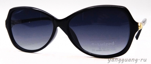 Polarized 8261 C1 - «ЕКБ ОПТИКА» Polarized 8261 C1