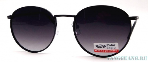 Polar Eagle 06205 C1