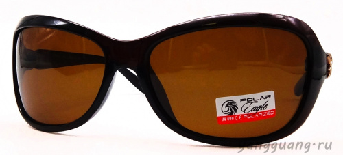 Polar Eagle 09550 C2