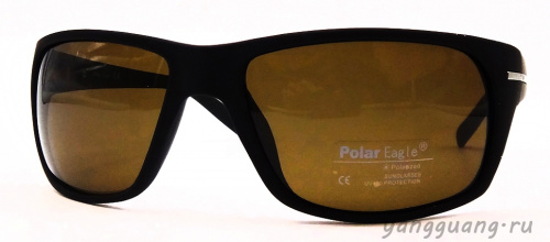 Polar Eagle 8221 C2