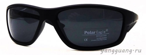 Polar Eagle 8209 C3