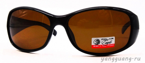 Polar Eagle 09551 C2