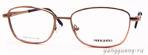 MIEN 7543T C100 54-17-140