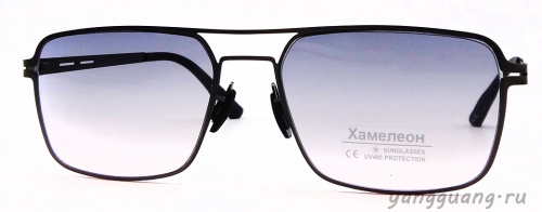 Хамелон 803 C6