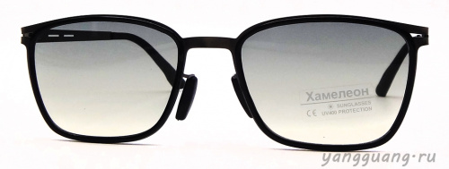 Хамелон 809 C3