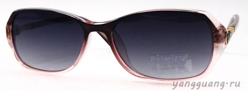 Polarized 6073 C3 - «ЕКБ ОПТИКА» Polarized 6073 C3
