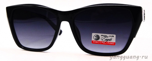 Polar Eagle 09497 C1