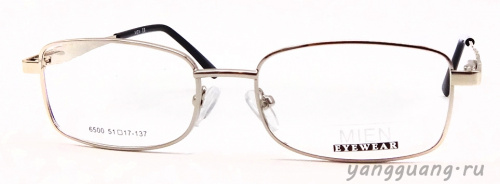 MIEN 6500 C5 51-17-137