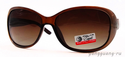 Polar Eagle 09555 C4