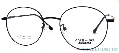 AMSHAR 2177 C6 48-19-145