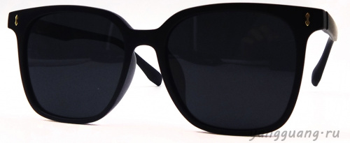 Polarized TR-90 6042 C3 - «ЕКБ ОПТИКА» Polarized TR-90 6042 C3