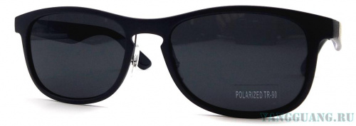 Polarized TR-90 18043 C1