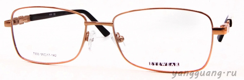 MIEN 7333 C100 55-17-142