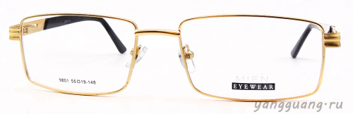 MIEN 9801 C79 55-19-148