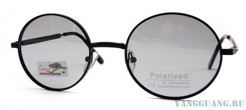Polarized 06111 C1