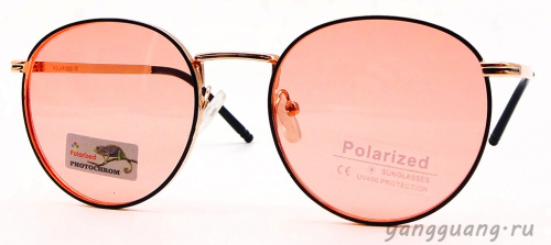 Polarized 06003 C3
