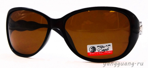 Polar Eagle 09548 C2