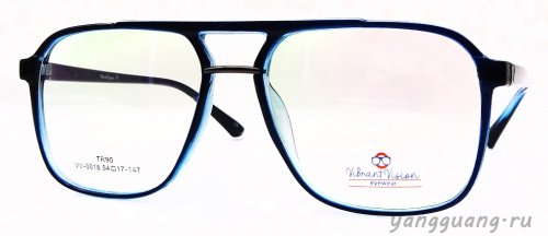 ViBrant Vision 0018 C5 54-17-147