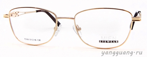 MIEN 7318 C2 51-18-138