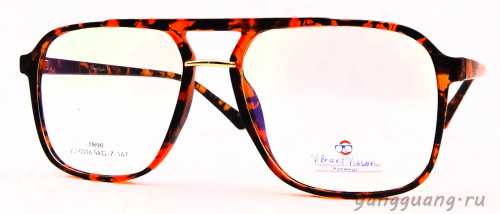 ViBrant Vision 0018 C11 54-17-147