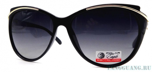 Polar Eagle 09240 C1