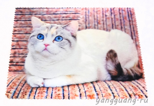 Салфетка №31 