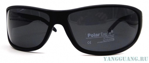 Polar Eagle 8233 C3