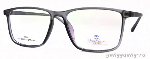 ViBrant Vision 0006 C6 51-15-143