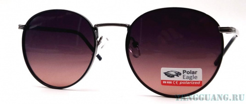 Polar Eagle 06205 C7