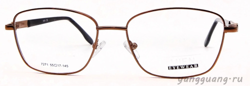 MIEN 7271 C100 55-17-145